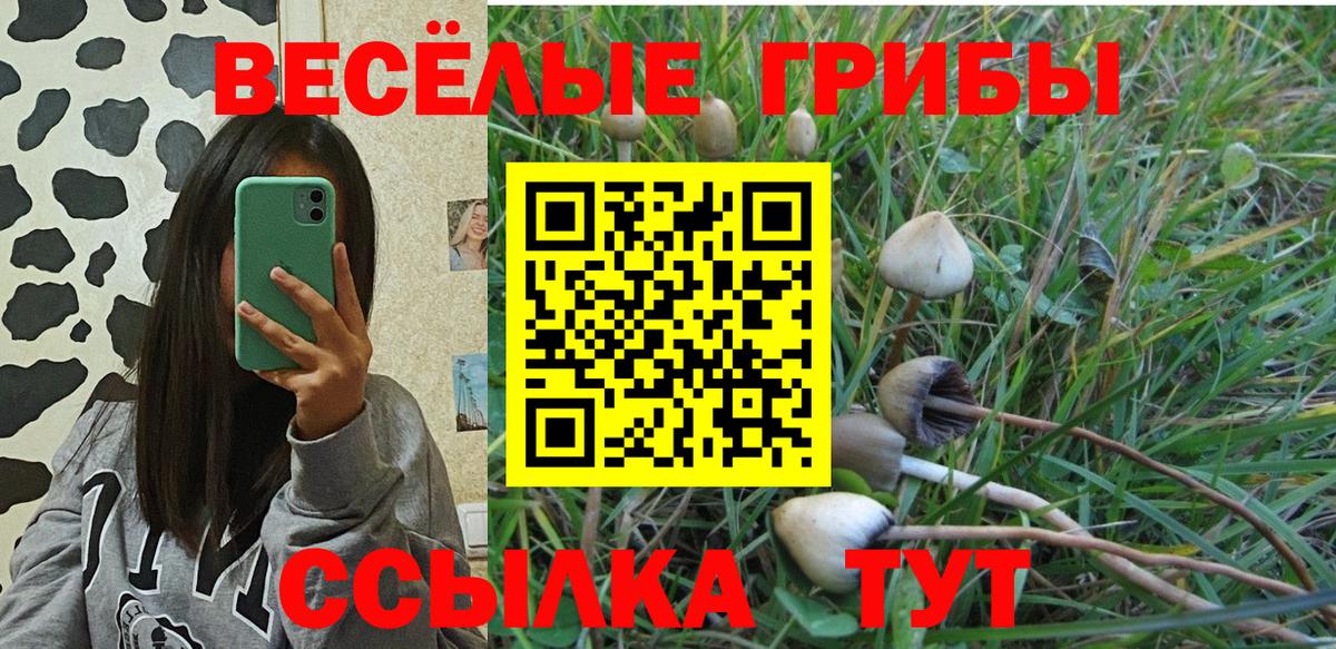 Псилоцибиновые грибы Magic Shrooms Алейск