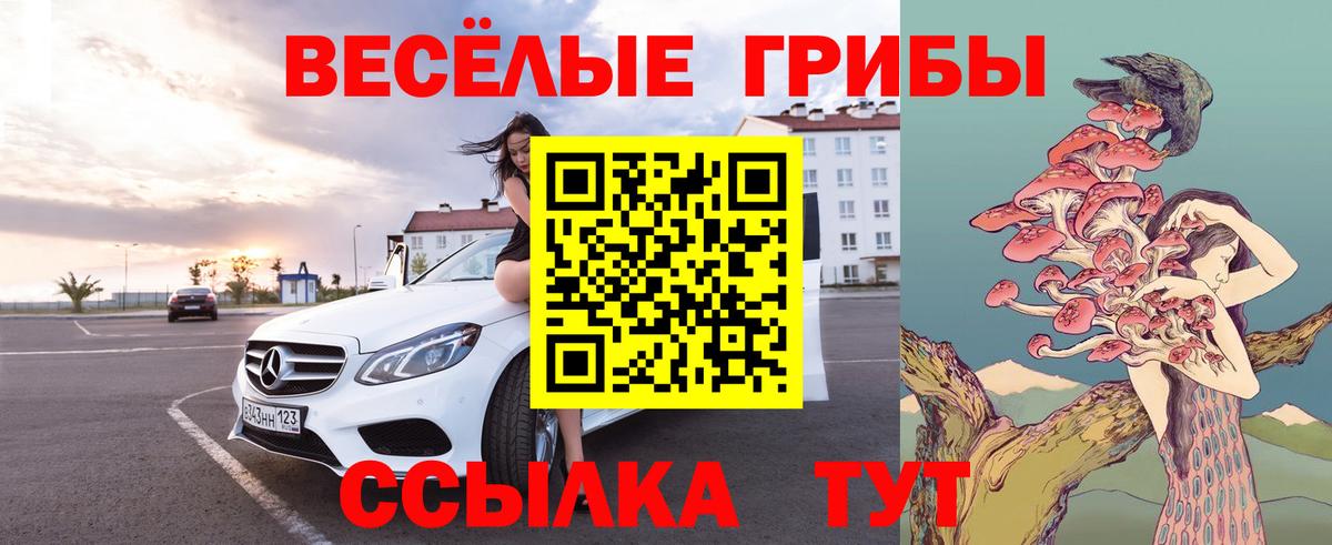Галлюциногенные грибы GOLDEN TEACHER  Псилоцибиновые грибы Psilocybine cubensis  Вход с VPN  Алейск 